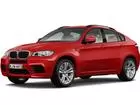 X6 M