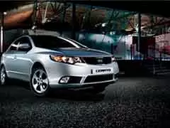 Cerato