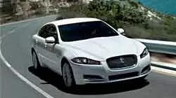 XF