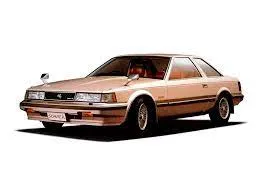 I 1981 - 1985