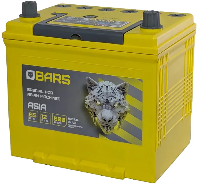 BARS Asia 65 JR (600A, 230*173*220) с бортом