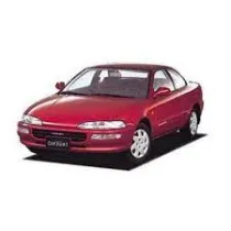 VIII 1991 - 1995