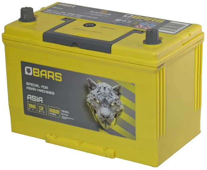 BARS Asia 100 JL (800A, 304*173*220)