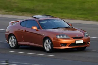 Tiburon