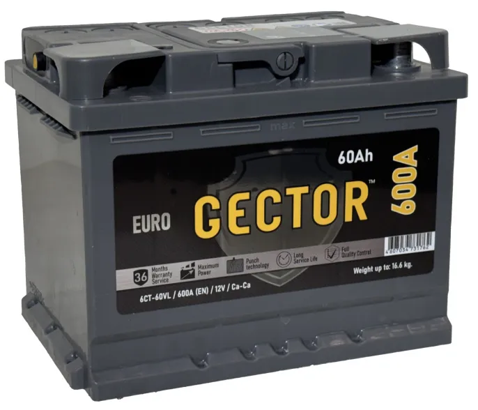 Аккумулятор GECTOR (АЗ им. Н.М. Игнатьева - АКОМ) 60 R (600A, 242*175*190)
