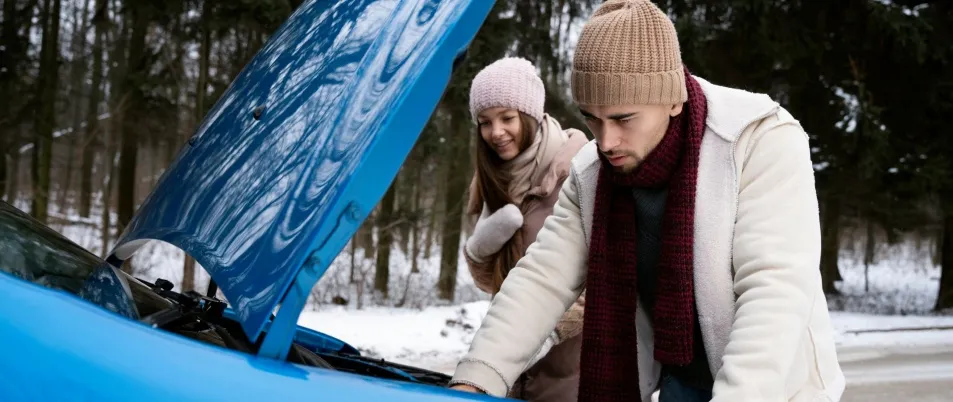 Почему в мороз аккумулятор садится и не заводит автомобиль?